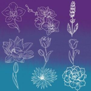 9 flower stamp brush set brushespack net 2023 06 06 05 37 16 277.jpeg 277