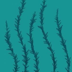 alien flora brush brushespack net 2023 06 06 06 09 34 515.jpeg 515