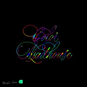 color madhouse procreate brush