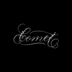 comet procreate lettering brush