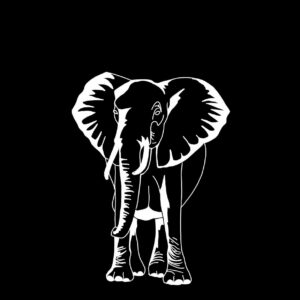 elephant stamp procreate