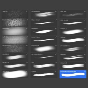 ergo vip brush procreate