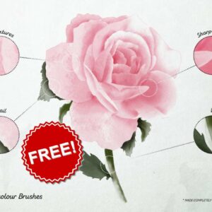 free exclusive paint brushes procreate