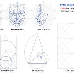 free golden ratio brushes 10+ fibonacci shape brushes for procreate