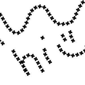 free procreate flower brush stamps procreate