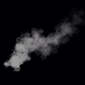 fan brushes used for pine trees in oils