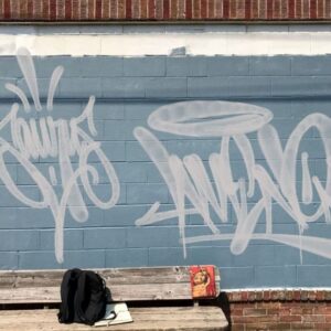 fatcap flare free brushes for procreate