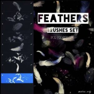 feathers brushset free