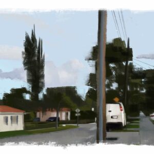 flat bristly brush procreate