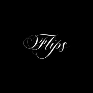 flips procreate lettering brush