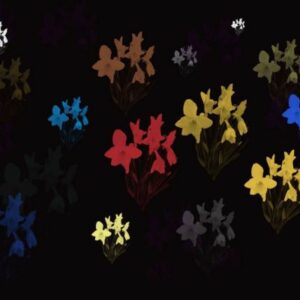 free daffodils stamp brush