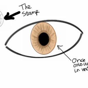 free iris stamp brush procreate