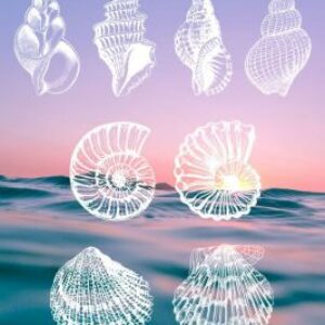 free seashell stamps