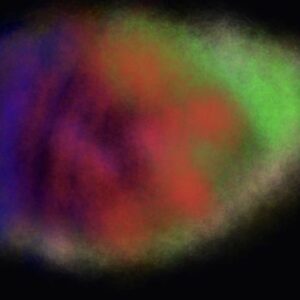 free soft chalk brush