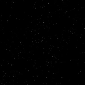 free star brush set!