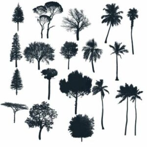 free tree stamp brushes for procreate