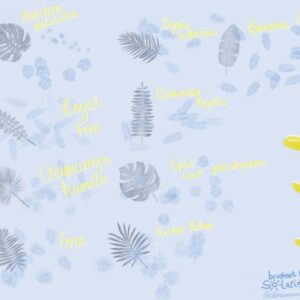 free tropical brush set