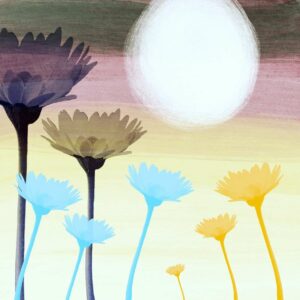 free daisy stamp brush set procreate