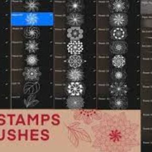 free pattern brushes and mandala stamps download