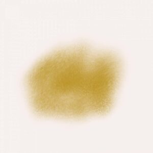 fuzzy coat procreate bruhes