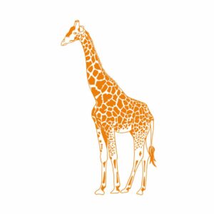 giraffe stamp brushes procreate