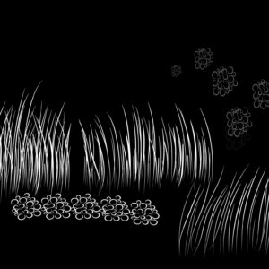 grass brushes and pebbles procreate