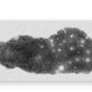 grut galaxsoup free brushes for procreate (1)