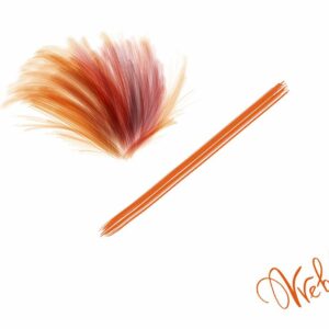 hair fur brush procreate