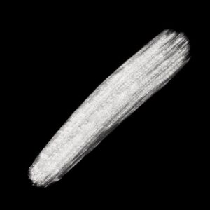 's brushes procreate