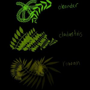 leaves brushes procreate