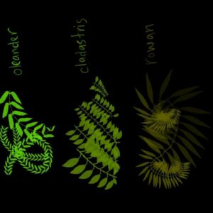 leaves brushes procreate (2)