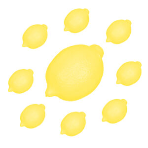 lemon brushes procreate