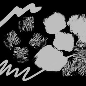 mikhasus brushes procreate