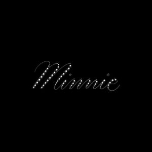 minnie procreate lettering brush