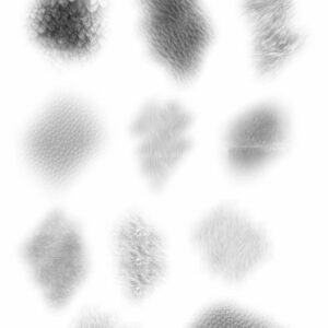 monde animal brush procreate