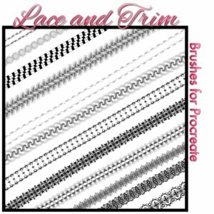 new set of lace and trim brushes
