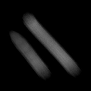 noisy wet brush for procreate