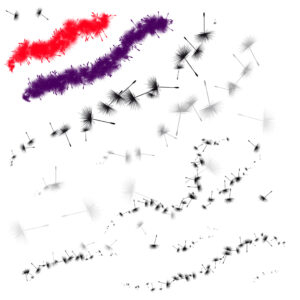 ostrich feathers & dandelion