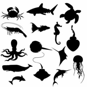 ocean life stamp set