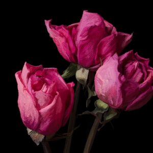 oil and canvas brush and artwork