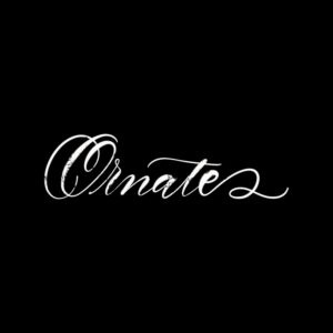 ornate procreate lettering brush