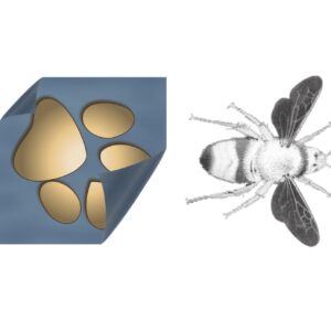 paper curl brush, busy bee brush