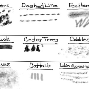 's custom brushes for procreate