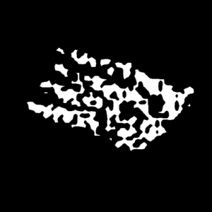 photoshop chalk brush for procreate