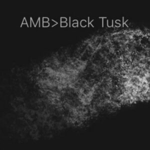 procreate black tusk brush