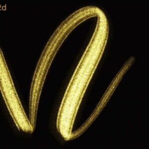 procreate free glitter lettering brush