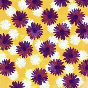 procreate free daisy stamp brush set glitter code