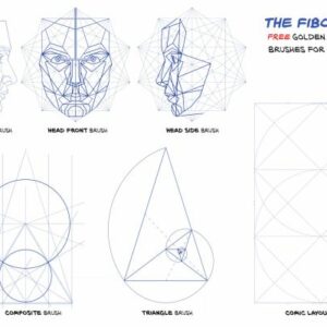 procreate golden ratio and face composition