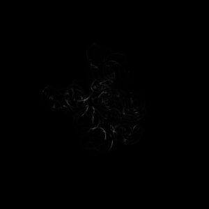 procreate life drawing brushes