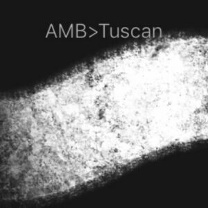 procreate tuscan brush